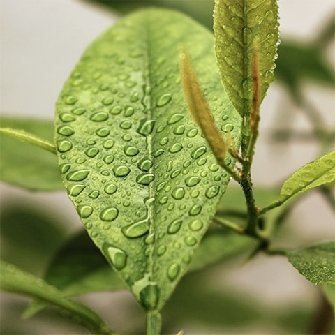 Ihr Vorteil mit Zeroplast - 100% Natur